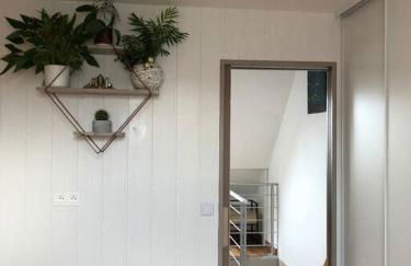 Appartement type loft avec terrasse - Photo 4