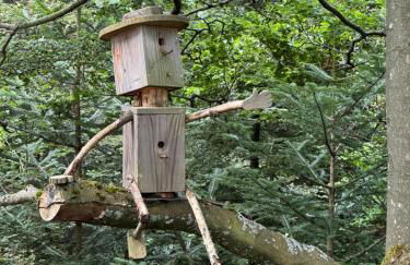 Bollenhut 1 - Foto 15