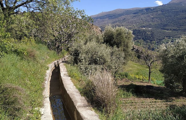 Casa Rural Arroyo de la Greda - Photo 33