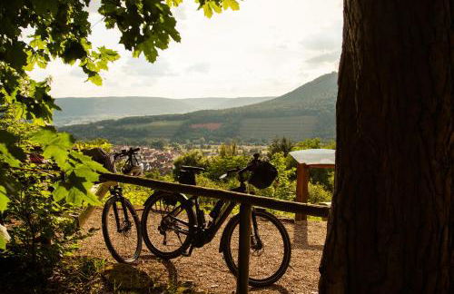 Bürgstadt, Am Bischof mit Sonnenterrasse, 1 bis 4 Betten - Foto 61