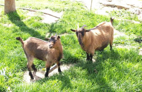 Casa Rural Torre Gargallo - Foto 15