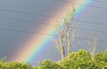 Romantic Shepherds hut with stunning sunsets - Photo 4