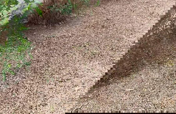 Casa Palmeras IV - Photo 50