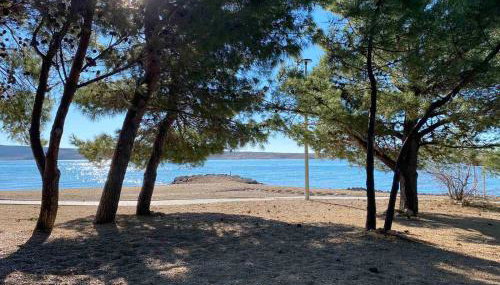 Apartment IB Studio Pag6 - Foto 4, Garden