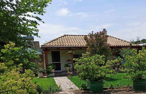 Maria's House - Foto 14