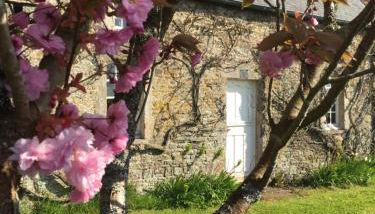 La Tireliere, longère bord de mer avec jardin - Foto 5, Garden
