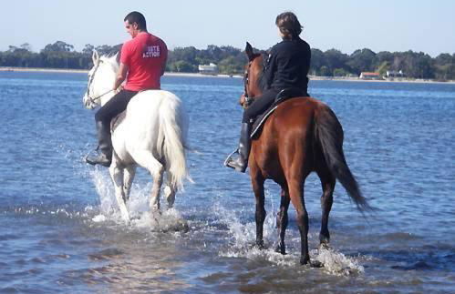 Casa dos Amigos - A luxury home in the nature - Foto 22