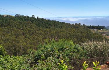 Finca Esther - Foto 47