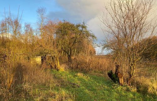 Ferien im Brookmerland - Foto 19