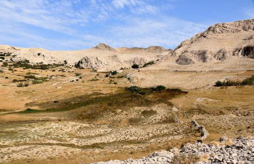 Galapagus privat beach & boat dock - Foto 51