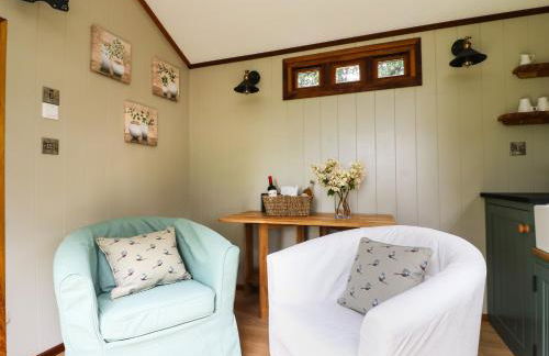 Little Silver Pheasant - Foto 9