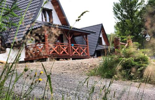 Tajemnicza Kraina - Foto 34