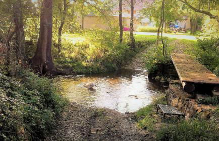 Haus mit Seele im Nahetal - Foto 41