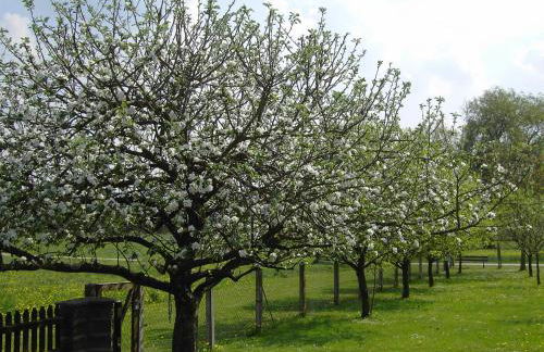 Landhaus Müller - Foto 9