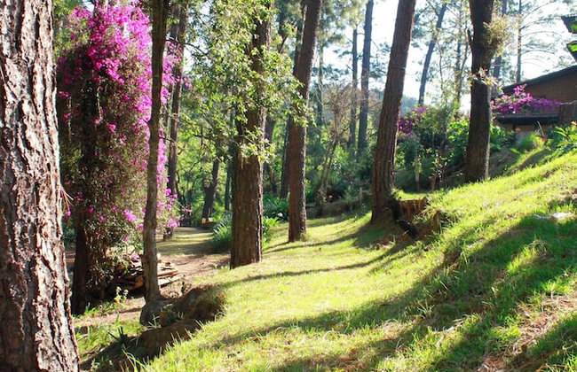 Country House In The Woods With River - Foto 23