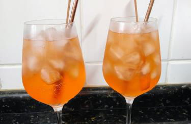 Paineiras Pousada Rural - Foto 30