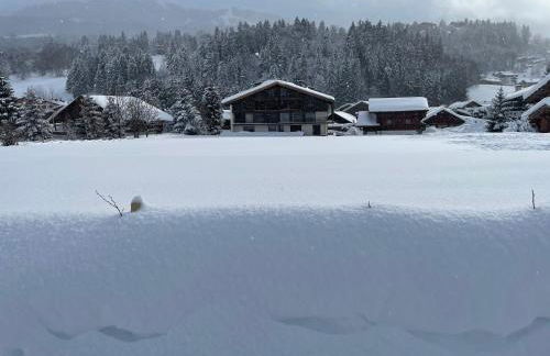 Chalet Esquinade 4 bedrooms appartment Megève - Foto 1