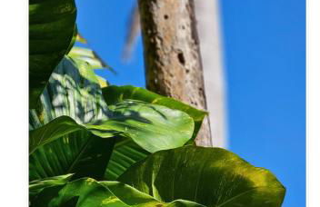 Jardim Secreto - Itaipava - Foto 60