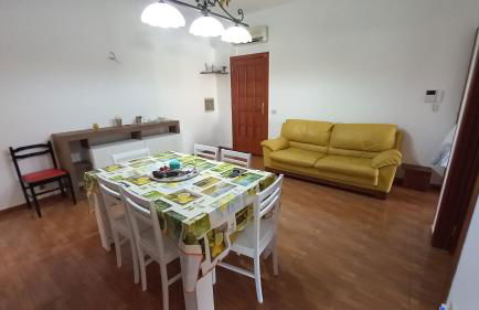 Lemon Gold - Foto 11