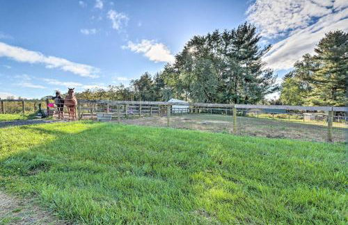 Equestrian Escape! Quiet Farm Stay Near Gettysburg - Photo 21