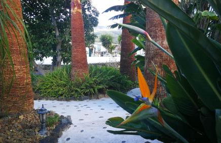 Finca Primavera - Foto 10