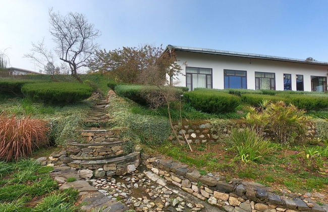 Tree of Life Junoon in The Hills - Foto 17