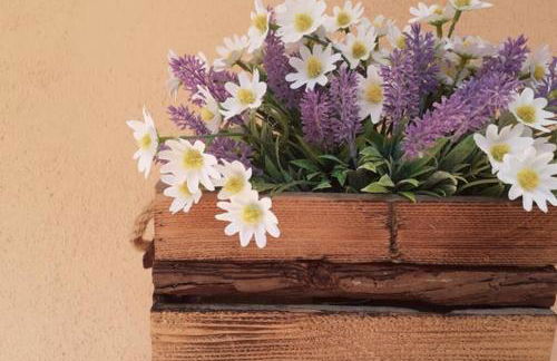 I 4 elementi - Foto 28