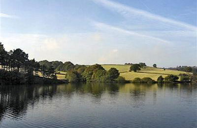 Willow Cottage - Foto 10