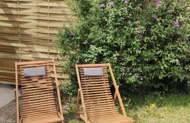 La Maison du Plongeoir 14 pers grande terrasse vue lac de Serre Ponçon - Foto 17