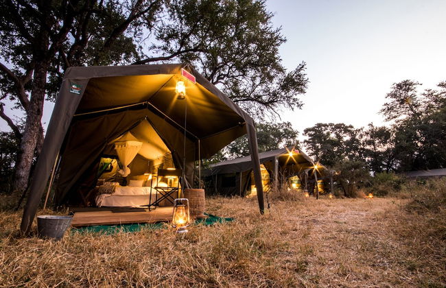 Kruger Untamed - Tshokwane River Camp - Photo 41