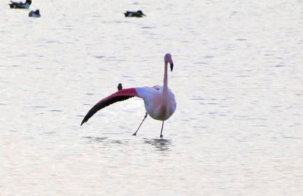 sol y arena - Photo 24