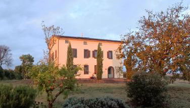Agriturismo Tenuta La Castelluzza - Foto 2, Garden, Garden view