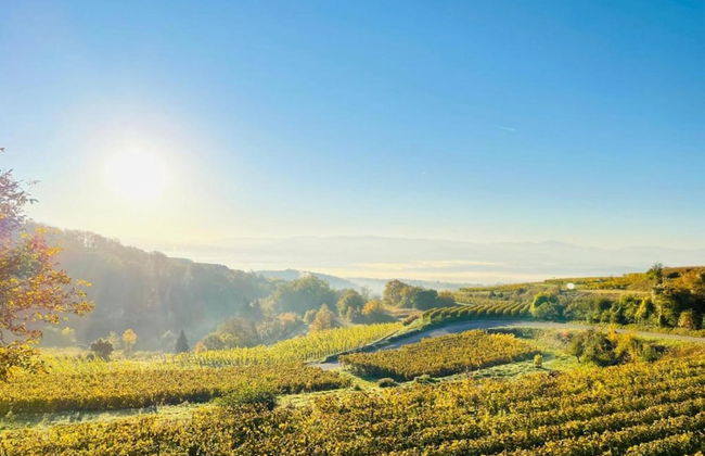 Holiday Apartment Monet in Oberrotweil - Foto 29