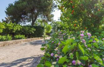 Midori-an 緑庵 - The Garden - Foto 40