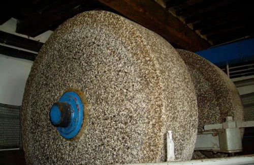 Fattoria Gambaro di Petrognano - Photo 22