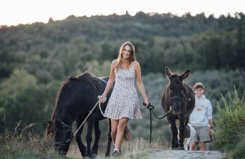 Fattoria San Donato - Foto 50