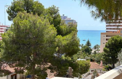 Beauty Garden - Foto 1