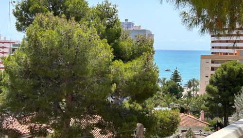 Beauty Garden - Foto 1