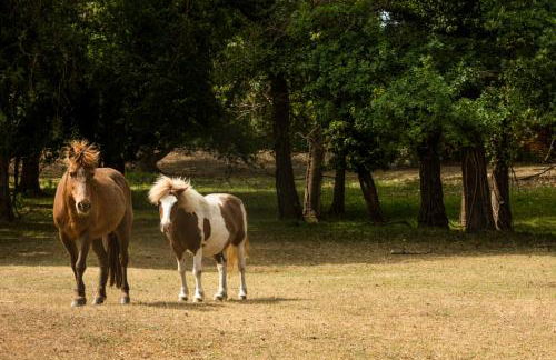 Garden & City Lyon - Marcy - Foto 39