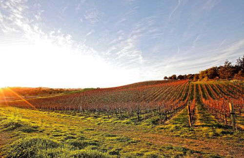 3 Mi to Golf and Wineries Arroyo Grande Home! - Foto 36