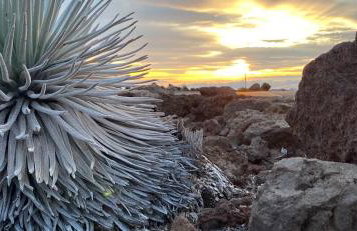 CampCar Maui Jeeps SUVs Hybrid Camper van Rentals with equipment and Travel Advice - Foto 10