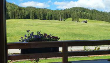 Les Pizades - Foto 5