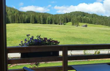 Les Pizades - Foto 5