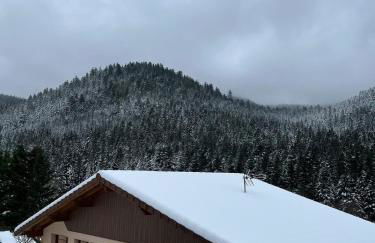 Grand gîte du Bruleux 11 personnes - Foto 15