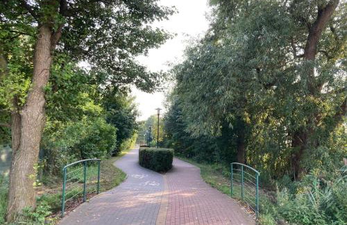 Uroczy drewniany domek w Charzykowach - Foto 47