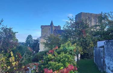 La Maison du Donjon - Gites de 8 personnes, parking privé avec jardin terrasse - Foto 26