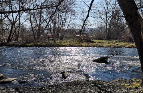 FERIENHAUS ZUM HOLZMICHEL - Foto 28