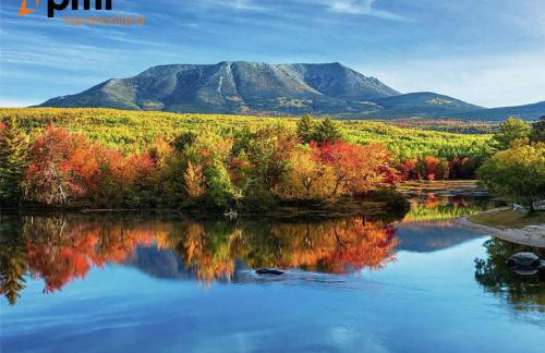 Halls Corner Lodge I Peaceful Woodland Escape - Foto 30