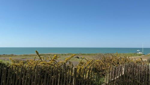 Charmant appartement T2 en rez de jardin terrasse face mer 4 personnes - Foto 2