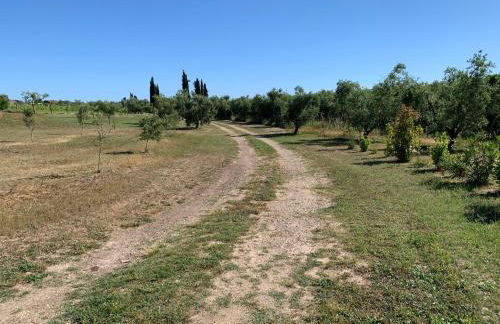 Resort Fonte Vulci - Foto 83